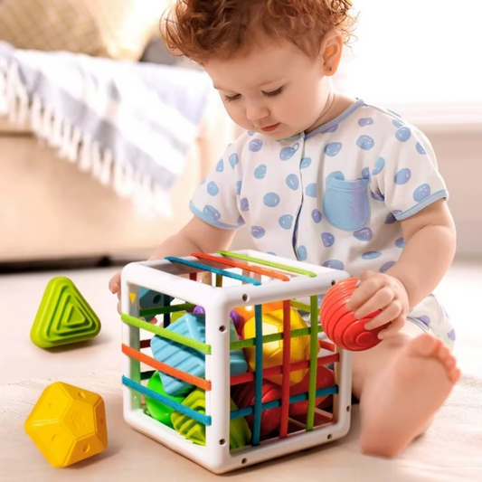 Sorting Cube - Sorteerkubus - Educatieve kubus